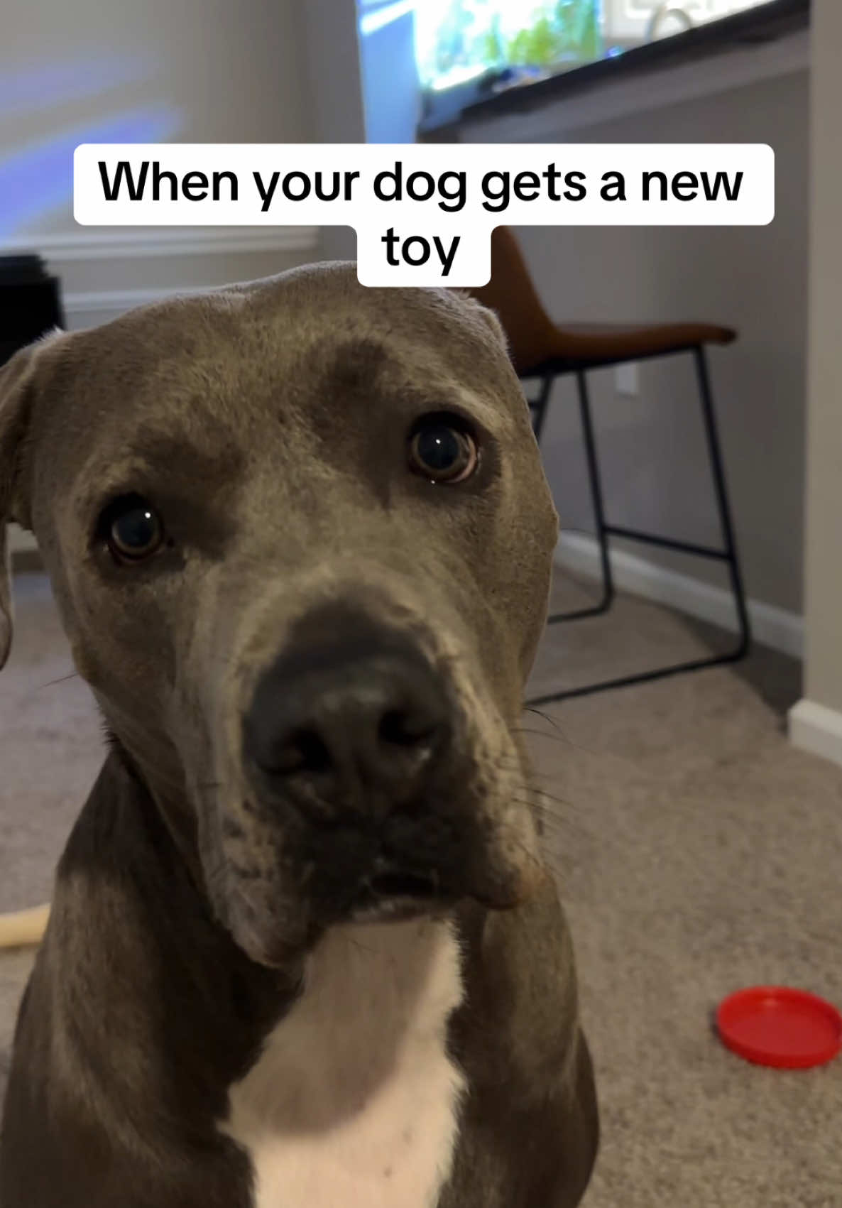 She loves toys