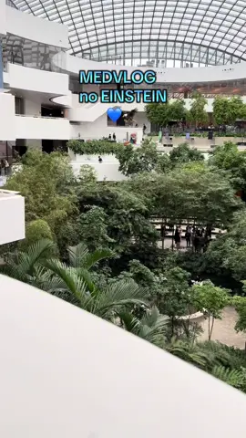 Vivendo um dia de Medicina Einstein comigo💙💙 Boa sorte pra todos que farão o vestibular domingo!! Ano que vem serão vocês aqui🦅 #medeinstein #medvlog #viral #foryou 