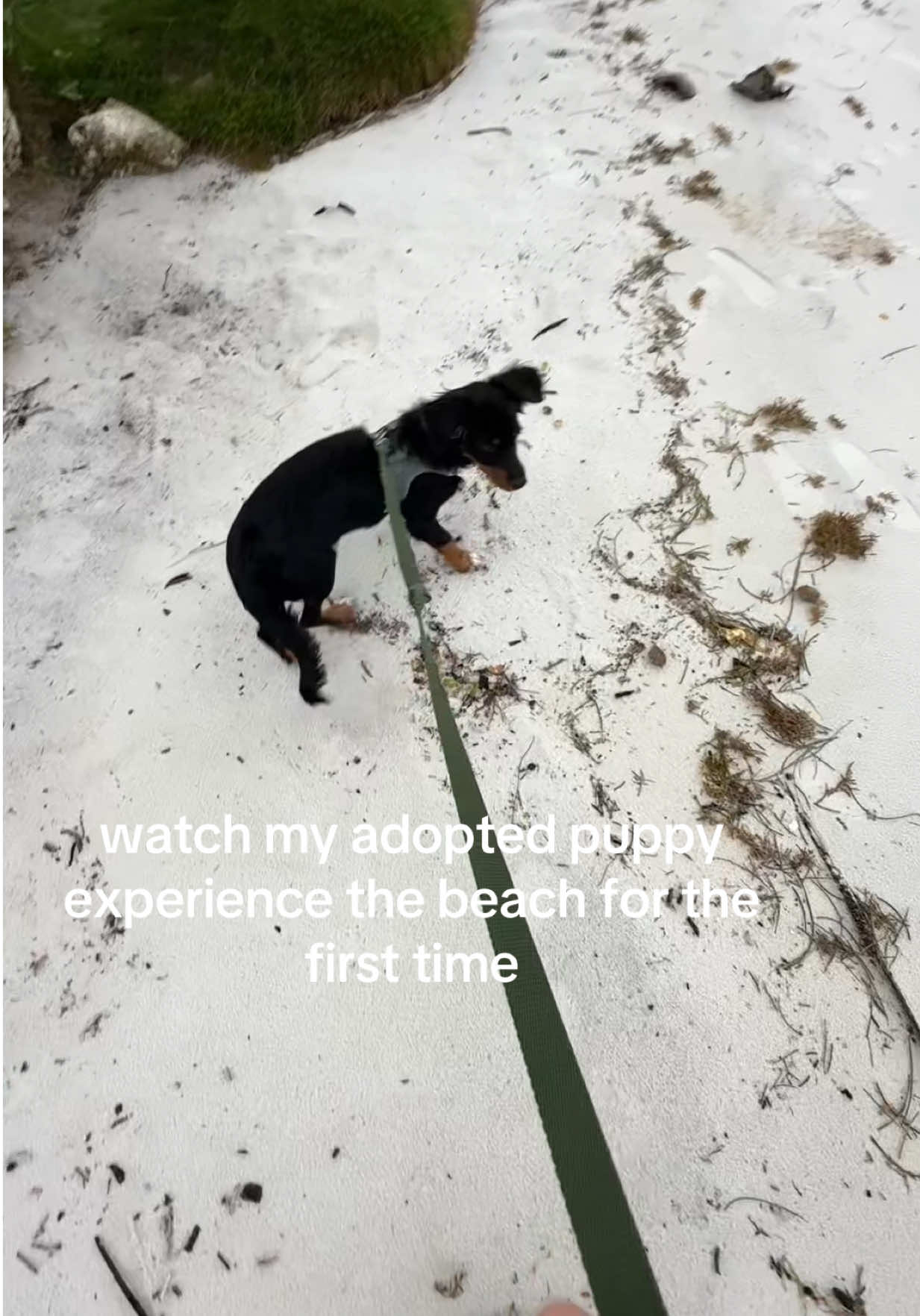 🥲🥲🥲 he deserves the world I’m so happy we found each other. I will give him all the beach days I can 