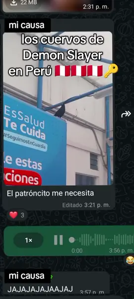 🗣️🗣️🗣️🗣️🐦🇵🇪🔑#demonslayer #fy  #Meme #peru #kimetsunoyaiba 