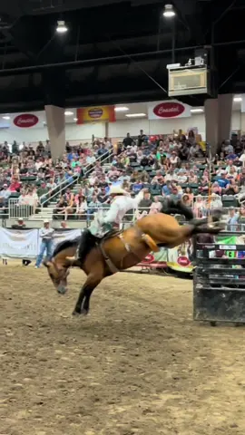 Triple H#cowboys #fyp #rodeo #buckinghorses #ford 