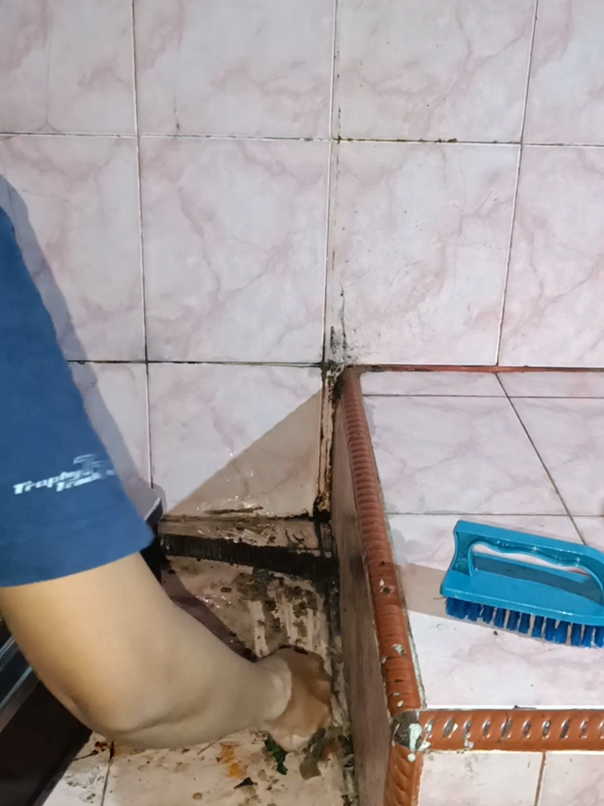 di rumah banyak tikus, gausah khawatir lagi pake aja RATKILLER pembasmi tikus dari @pakewuh.official  #ratkiller #pembasmitikus #pakewuh 