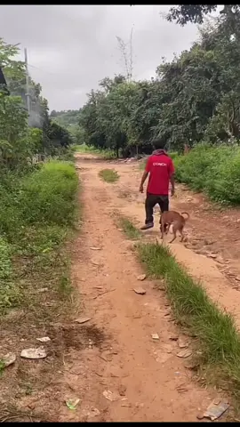 😹
