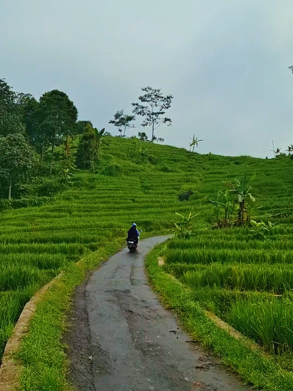 Perjalanan Indah .. #pamijahanbogor #desawisata #pemandangan #motovlogger #halimunsalakbogor 