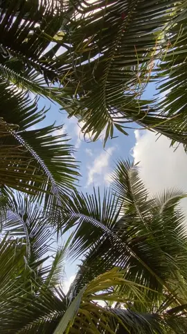 #beach #beachvibes 
