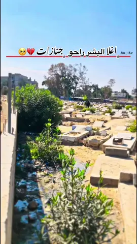 اغلا البشر راحو جنازات #تصويري📸 #شهيد💔💔 #غزة #غزه_فلسطين🇵🇸 