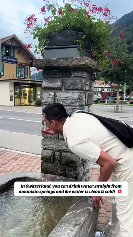 🇨🇭 #switzerland #swissalps #exploremore #fyp #travel 