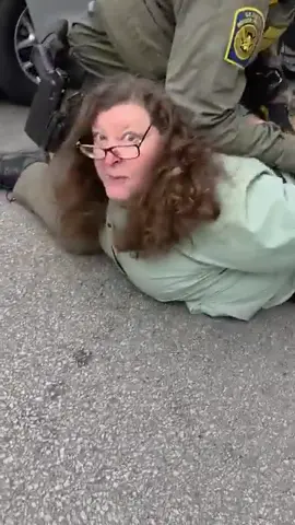 ICE agents aggressively arrested WGN video producer Debbie Brockman in Lincoln Square Friday morning, supposedly for 