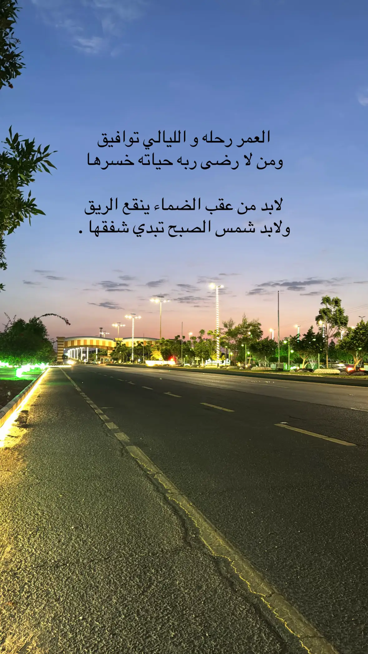 #الجنوب #شعر 
