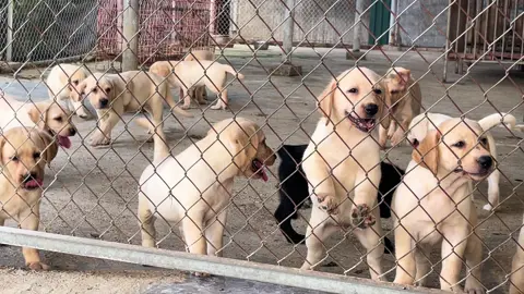 Có sen nào muốn bế 1 bé về chăm hông 🥰