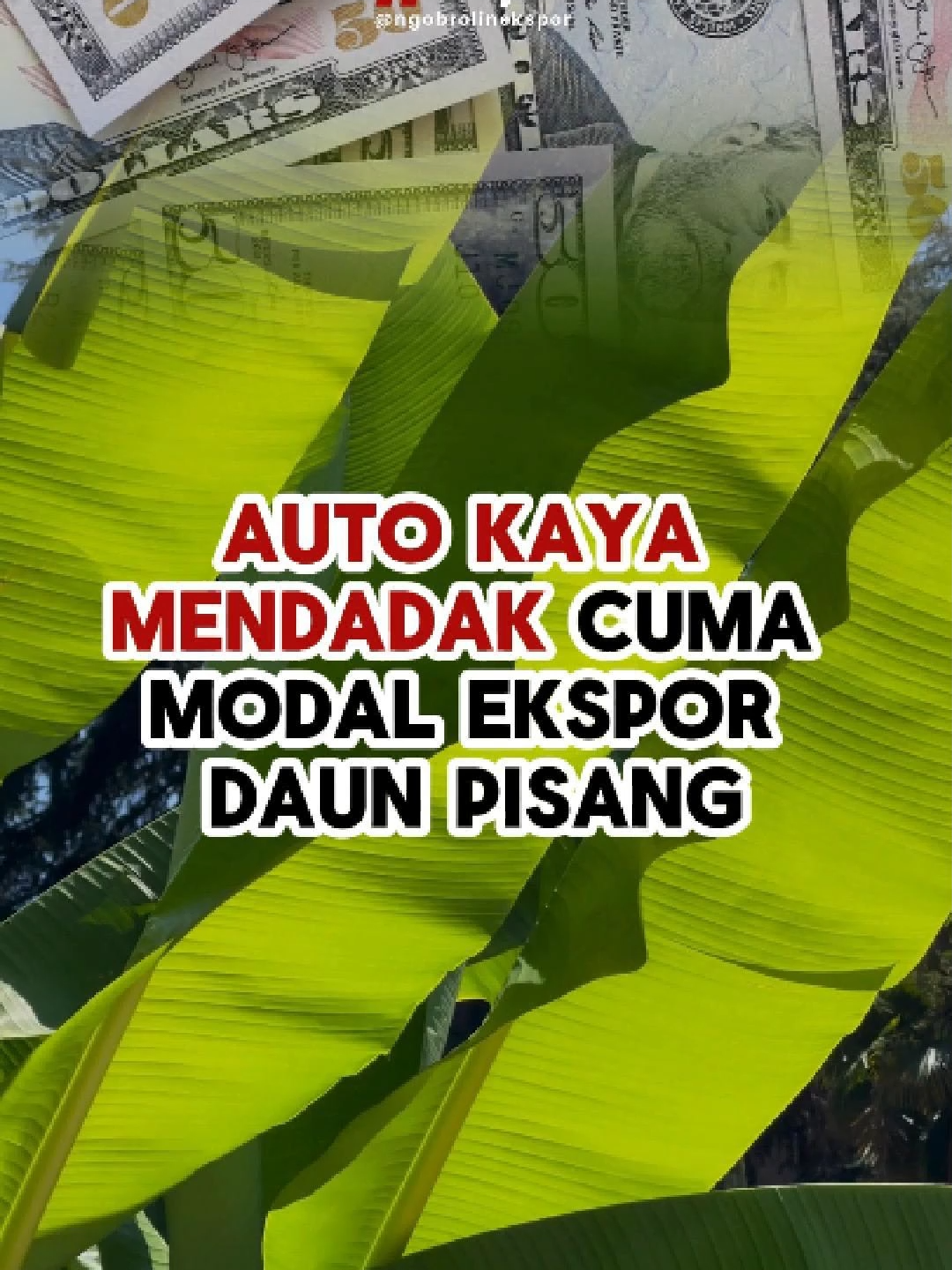 Auto kaya raya cuma dari ekspor daun pisang.. Komen MAU dibawah yang mau gabung belajar ekspornya GRATIS!! #ekspordaunpisang #belajarekspor#ngobrolinekspor