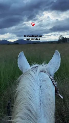 #paratii #fipシ #campo #VicenteFernandez #mexico🇲🇽 