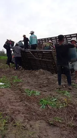 moi sáng sớm 