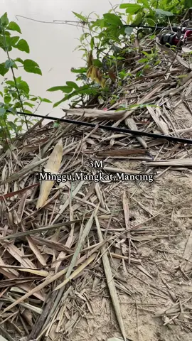 Ojo lali sesok dino minggu lo@𝔗𝓮𝓰𝓪𝓻◑ #fyp #mancingliar #mancing #setorymancing #storykatakata 