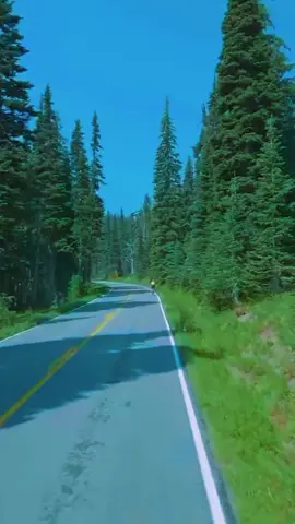 #boanoitee #louvorparastatus #LIVEIncentiveProgram #LIVECareer #PaidPartnership 