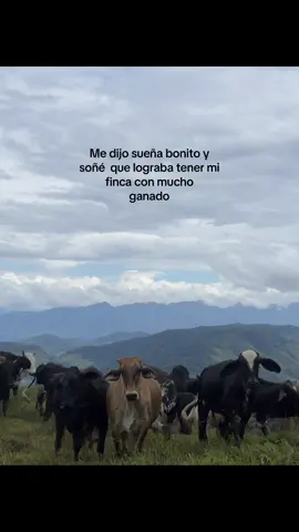 🙌🏻#fyp#ganaderia#paratii 
