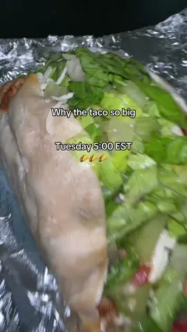 Why is it so big?? 5:00 EST guys🫶🏼🌮 #fyp#sammy