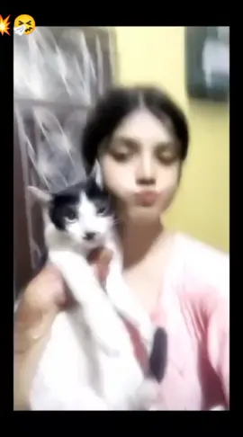 #viral #sofuuuu🦋🤍 #fypシ゚ #fpyシ❥tiktok🖤🌹