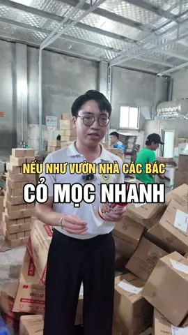 Thuốc cỏ thiên kooo diệt trừ mọi loại cỏ cứng đầu#TikTokAwardsVN #kinhbac #xuhuong #thienloi #thuoccothienloi 