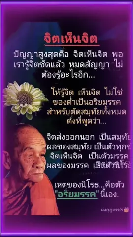 #หลวงปู่ดู​ล​ย์​