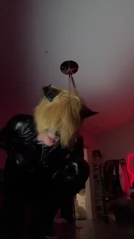 Cat Noir Cosplay 🐈‍⬛. Ladybug next? #ladybug #cosplay #catnoir #dancer 