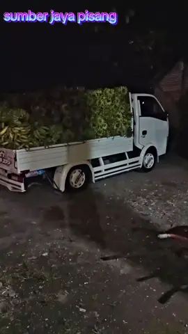 siap diberangkatkan dari tulungagung tujuan kemana saja😅😅 #kripikpisangindonesia  #pisangcoklatlumer  #rajatanduk  #fypfyp  #pisangtandukbotol 