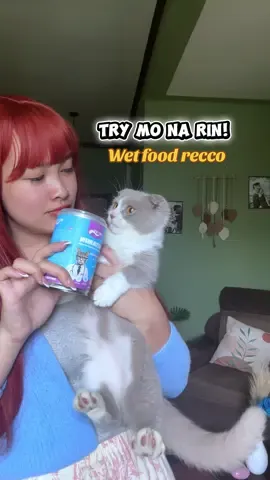 Recommended cat wet food dahil siksik sa nutrients #mrvet #mrvetph 