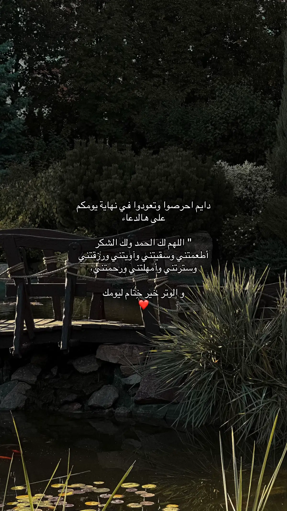 #الحمدلله_دائماً_وابداً #فوضت_امري_الى_الله #صدقة_جارية #quran 