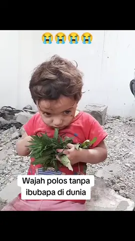 Anak syurga anak terkuat di dunia..♥️♥️♥️  #FREEPALESTINE🇵🇸🇵🇸  #SAVEPAlLESTINE🇵🇸🇵🇸  #ALLEYEAONRAFAH🇵🇸 