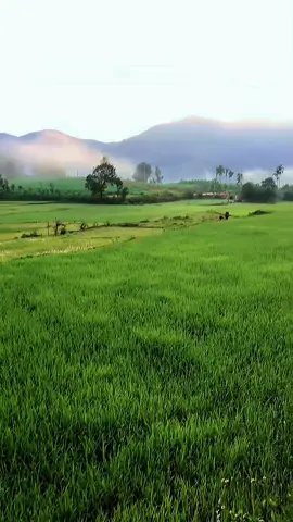 Hoàng hôn 🌅 #xuhuong 