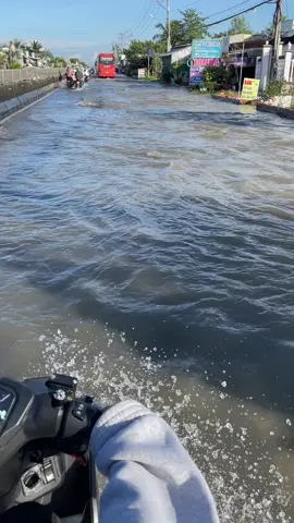 Một đoạn của CT#tiktok #xuhuong 