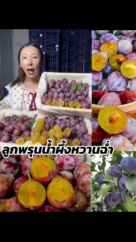#พรุนน้ําผึ้ง #ลูกพรุน #ลูกพรุนสด #ลูกพรุนน้ําผึ้ง 