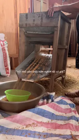 Vừa tới nơi , nghĩ không biết Ông Bà đang chạy cái máy gì, Bà bảo cái này để quạt nó thổi cái nào không hạt nó bay đi , còn có hạt thì nó ở lại #tuoitho8x9x #langque #yenbinh 