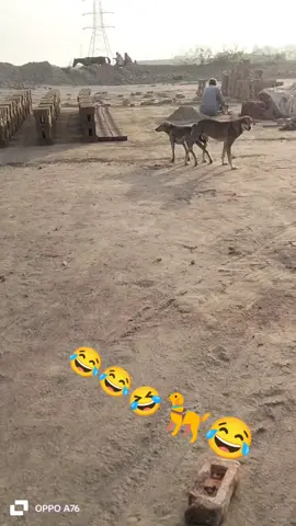 🤣🤣🤣😂😂
