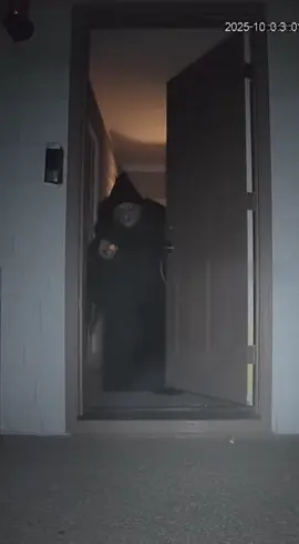 OMG 😧 #halloween #horror #scary 