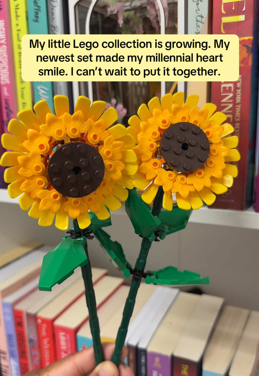 I love seeing my LEGO collection grow ❤️ #legotiktok #legosets #legos 