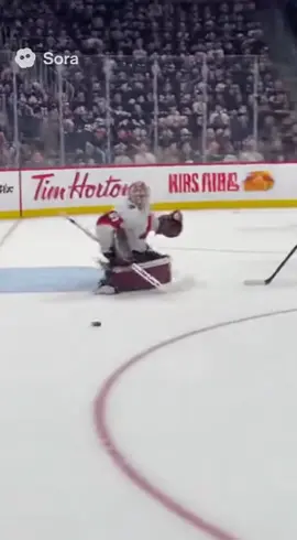 #67 #ai #winnipegjets #NHL #jets @Mcgroarty 