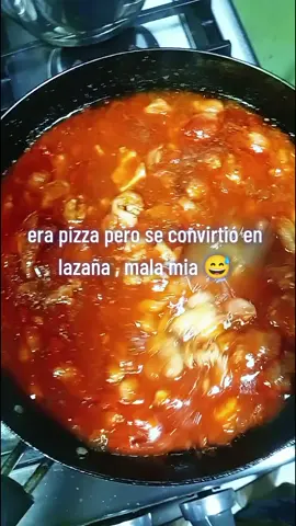 Ingredientes: Garrobo , un chile dulce que estaba tostado del frio , queso del mas barato del chino , tortillas (lo único caro) , hongos de suli, una cebolla de la vecina, mortadela jamonada de pequeño mundo (la compré en abril y todavía quedaba 🫡) ... tiempo de cocimiento: 19mn (mas de eso viene mas caro el recibo de Luz y el hornito es eléctrico) calor: 190 grados 🤗 