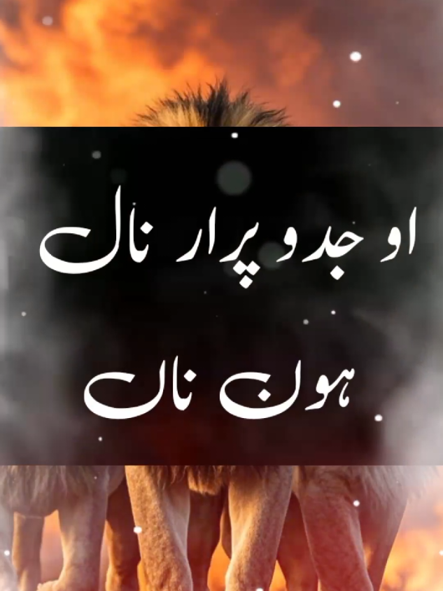 TikTok team don't under view my video please unfreeze my account