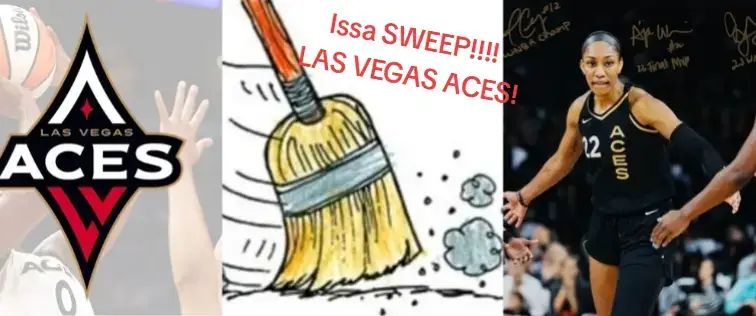 The aces have done it again! #sweep #champions #WNBA 