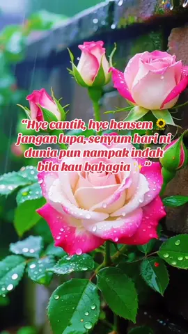 #fyppppppppppppppppppppppp #fypシ゚ #jagalisanmu 