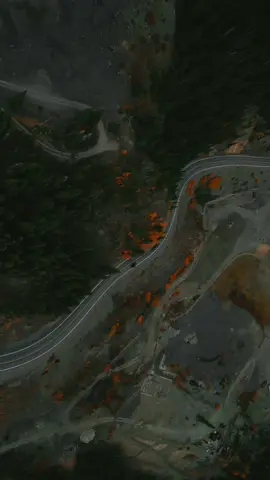 The San Juans never disappoint. Fall colors are fading fast, and the snowy season is right around the corner. Time to trade gold aspens for white peaks and green pines. 🌲🏔️ #colorado #adventures #fall #friends #traveltiktok 