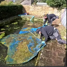 Cleaning the pool... #house #pool 