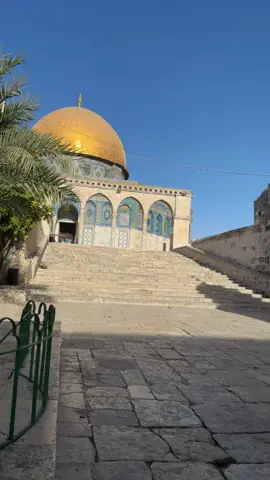 #الصخره #القدس #فلسطين#الاقصى #دعاء_يريح_القلوب 