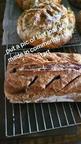 #bucky is the best! #farmstand #sourdough #sourdoughstarter #sourdoughkit 