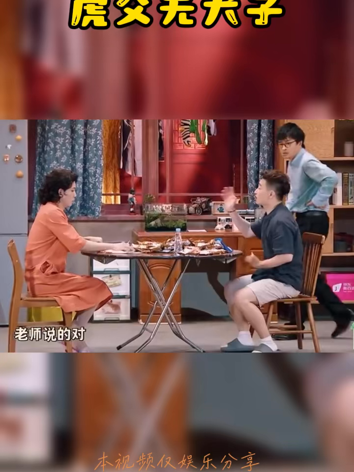 这种好作品是不可以上春晚的#80后的记忆 #情感共鸣 #治愈系 #搞笑 #脱口秀