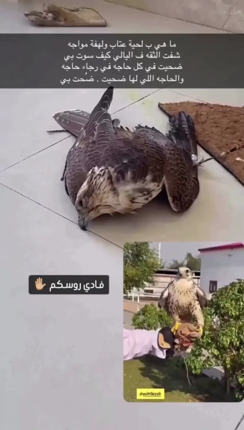 #اكسسبلور##الله_يعوضنا# 