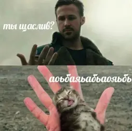 У кого тоже попа трусы зажевала ставьте лайк #котики #fyp #рекомендации #мем #озвучкамемов #тренд 