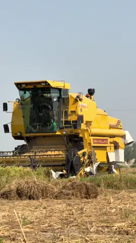 Ma Sha Allah❤️#ch_asim_bhatti #asimbhatti582 #jutt102 