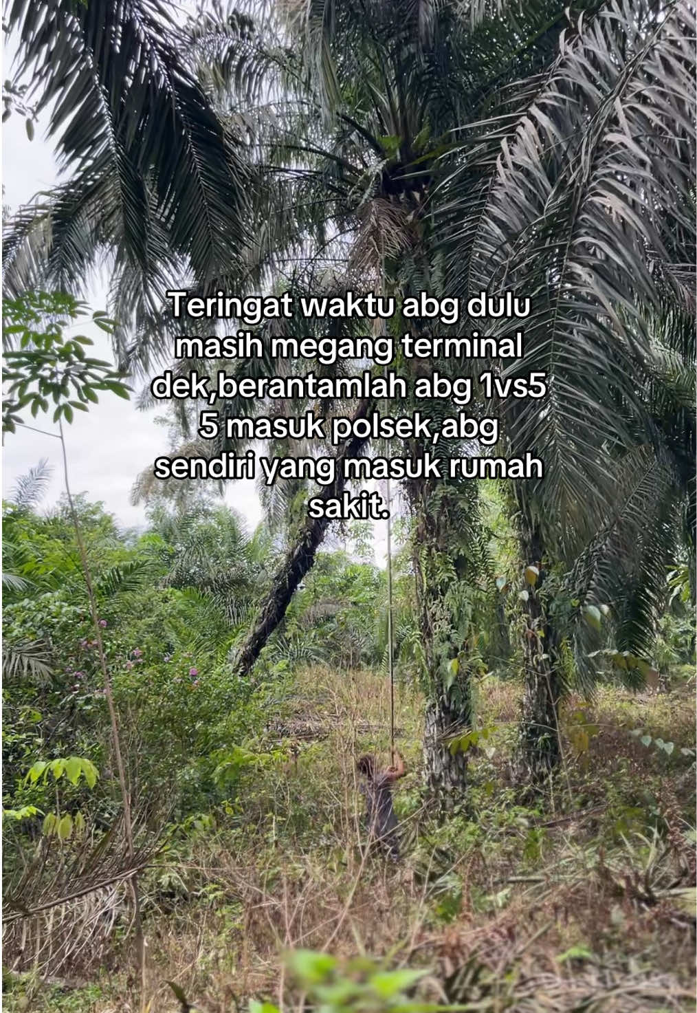 abg dulu megang terminal tanjung morawang dek #storysawit #sawitontiktok #cakapmedan #bataktiktok #storybatak #medantiktok 